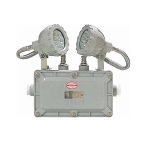 JYW-ZFZD-E6W-BXW6229ϵ������Ӧ�������ƾ�