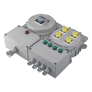 BXM(D)ϵ�з�������(����)�����(IIB��IIC��Ex tD)